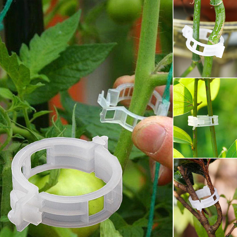 YeenGreen Giardino Piante Supporto Clip Set, 120 Clip per Piante, Riutilizzabile Clip di Supporto per Steli di Vigne, Morsetti Stabili per Il Fissaggio di Piante Rampicanti (60 Grandi + 60 Piccole