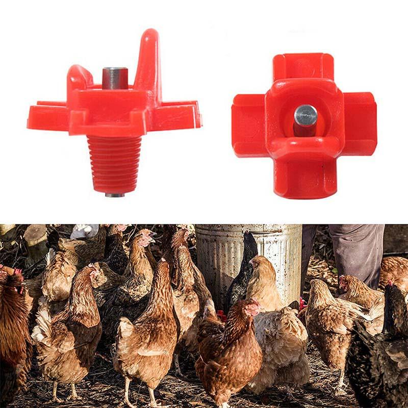 Bevitori Per Capezzoli Di Pollo In Acciaio Inossidabile Attrezzatura Agricola Sicura E Antiruggine Abbeveratoio Pe 95006819 Bevitori Per Capezzoli Di Pollo In Acciaio Inossidabile Attrezzatura Agricola Sicura E Antiruggine Abbeveratoio Pe 95006819