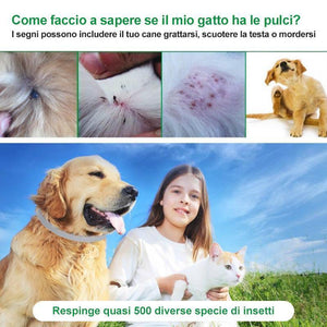 Hirundo collare repellente per cani