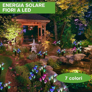Lanterna Giglio Energia Solare Fiore di Giglio