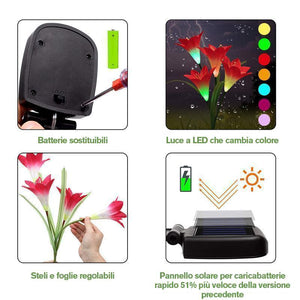 Lanterna Giglio Energia Solare Fiore di Giglio