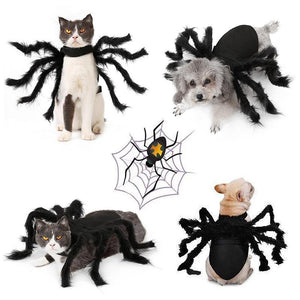 Costume ragno per animali domestici