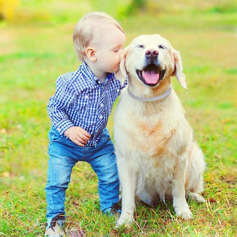 Hirundo collare repellente per cani