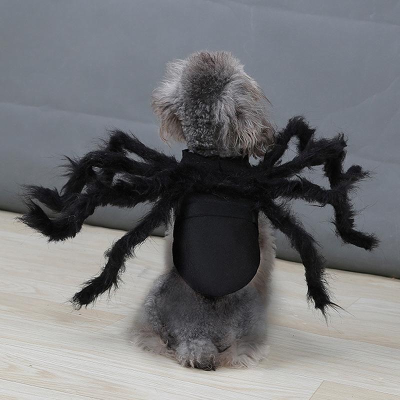 Costume ragno per animali domestici